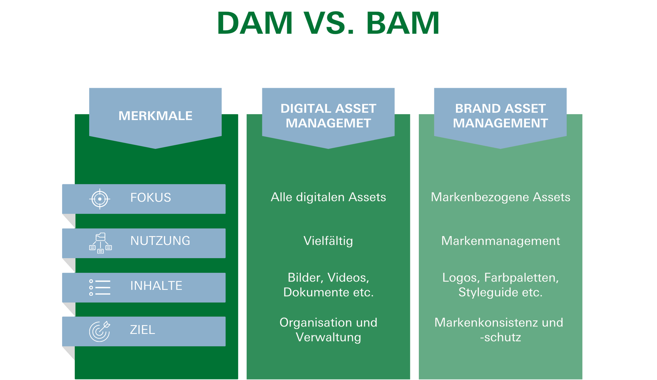 DAM vs BAM Grafik