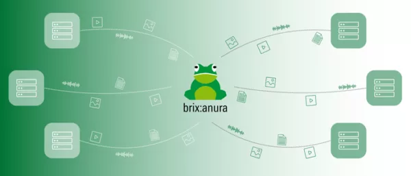 Brixanura für multi DAM